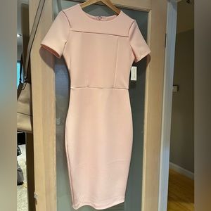 Alexia Admor Light Pink Dress